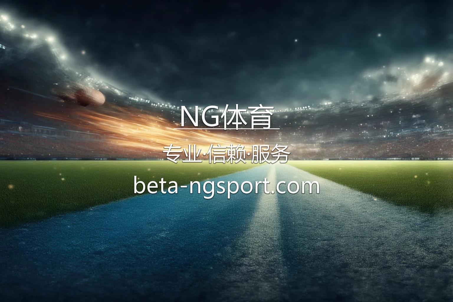 NG体育官方平台